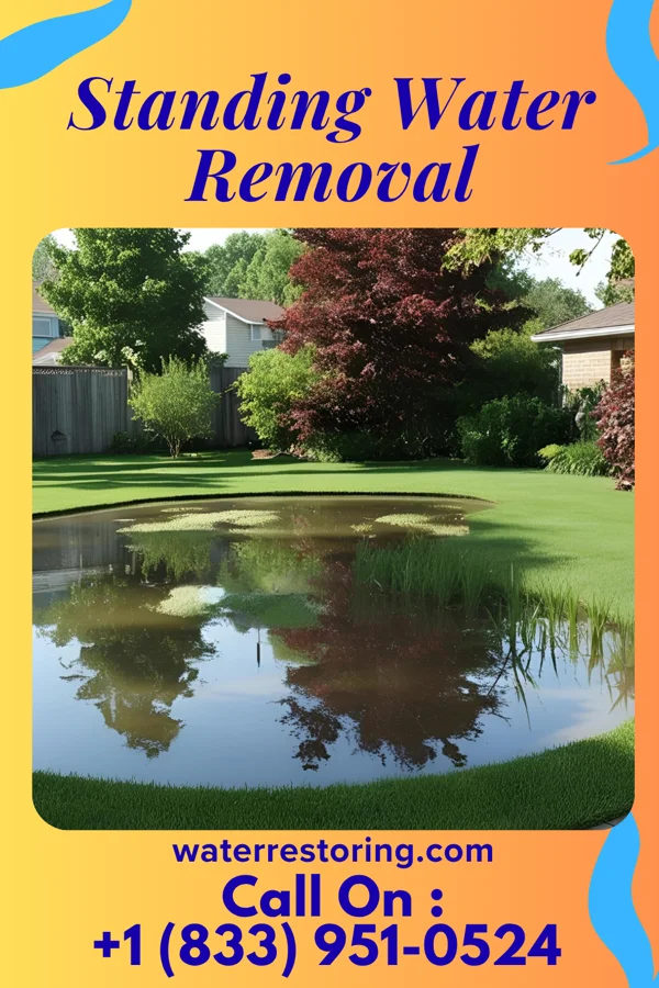 Standing Water Removal in Cassopolis, MI